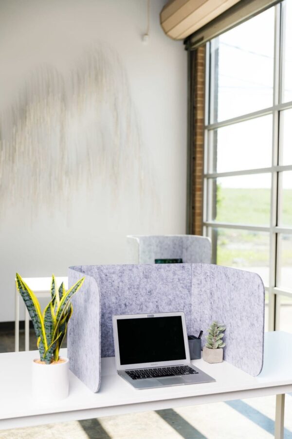 Hide Desktop Privacy Screen
