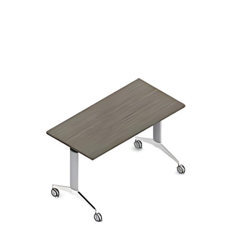 Terina work and training table
