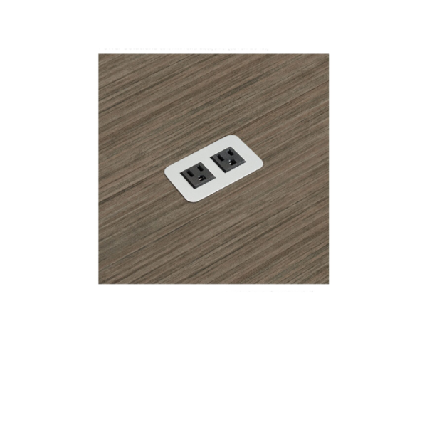 DPC Slim Dual-Outlet Desktop Power Module