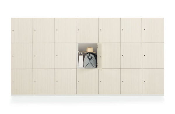 Global Personal Storage Locker Wall System with Multiple Compartments