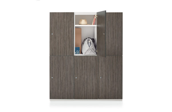 Global Wood Grain Personal Storage Locker System