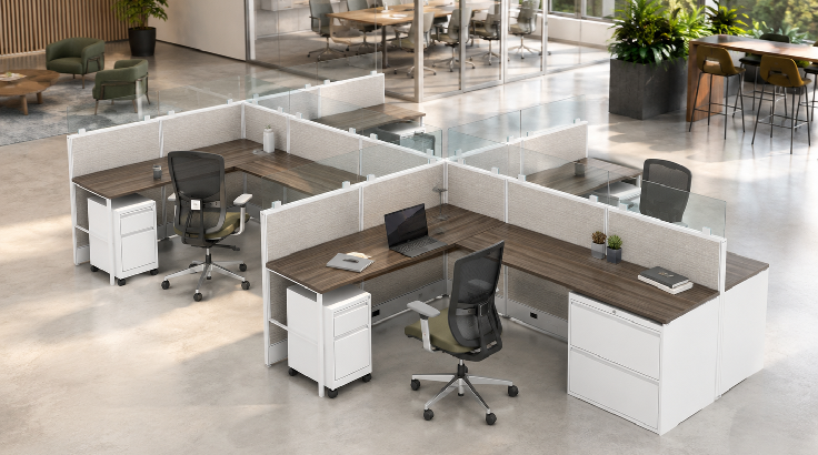 4 Person Semi-Private 6x8 Cubicle Run with Glass Panels room view