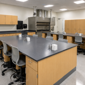 Custom Lab Casework-var8