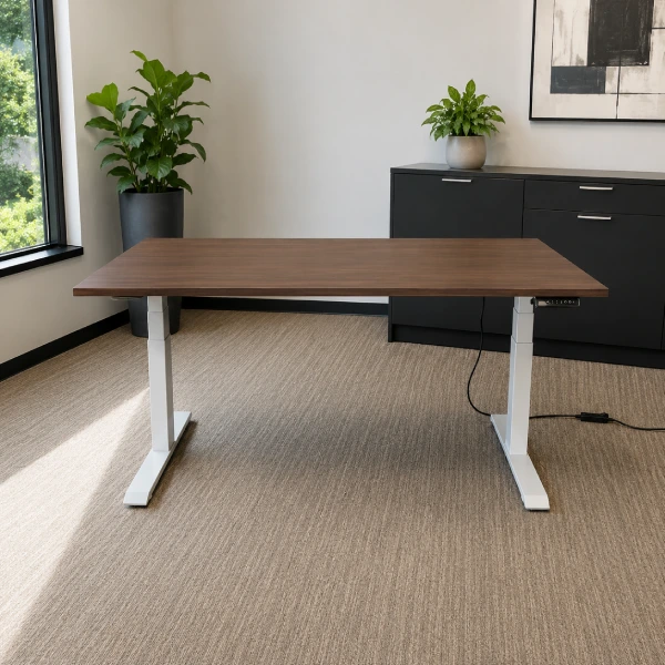 Sit-to-Stand Electric Ergonomic Desk