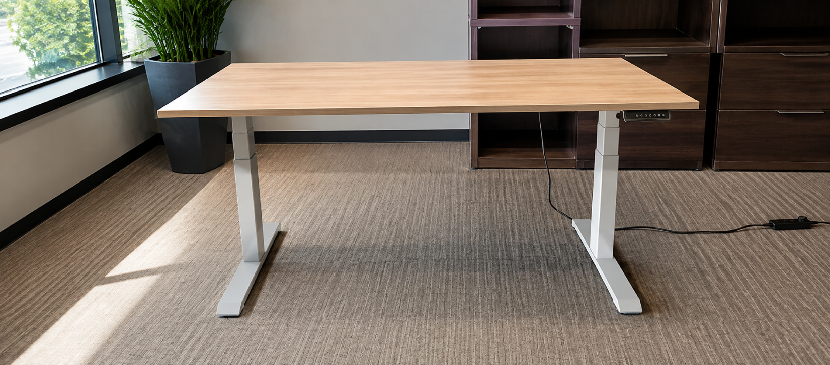 Sit-to-Stand Electric Ergonomic Desk