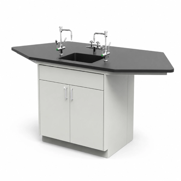 Laboratory Sink Workstation with Integrated Faucets and Storage Cabinet
