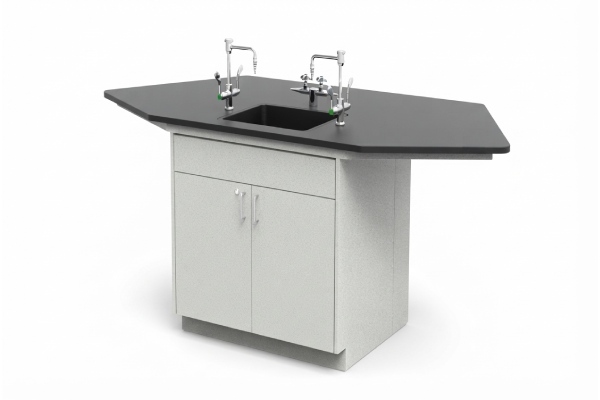 Laboratory Sink Workstation with Integrated Faucets and Storage Cabinet