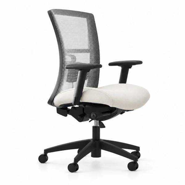 Vion Ergonomic Office Task Chair